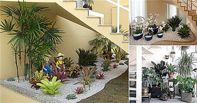階段の下の屋内庭園のための15のユニークなアイデア