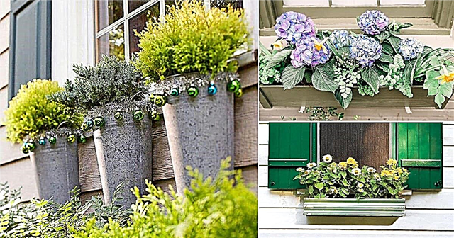 23 DIY Window Box Ideen für Curb Appeal Ihres Hauses