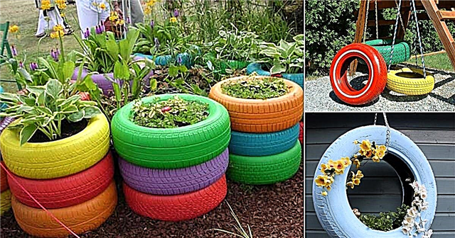 8 ideias de jardim de pneus que você deve observar