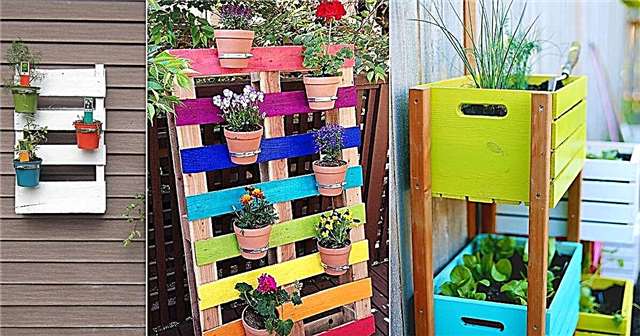 16 krāsainas DIY vertikālās dārza idejas