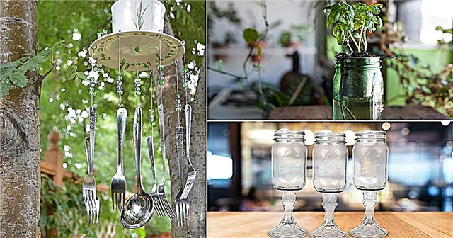 19 Awesome DIY Kitchen Hacks For Garden & Home