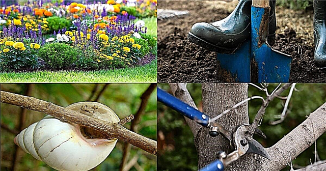 Doe deze 10 dingen in maart om de perfecte tuin te hebben