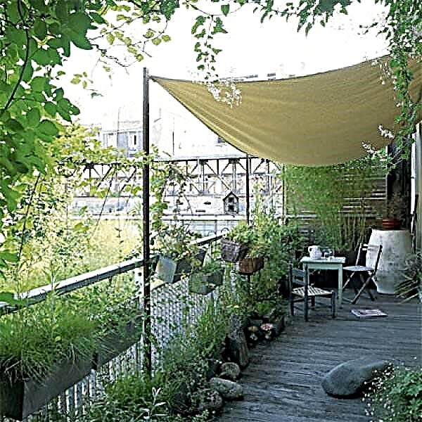 3 balkono sodo dizainai įkvėpimui Mažo sodo dizaino idėjos