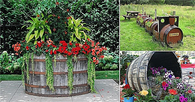 정원을위한 17 가지 창의적인 DIY 와인 배럴 아이디어