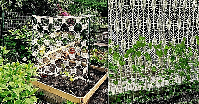 4 ideias exclusivas de treliça de crochê DIY para jardim