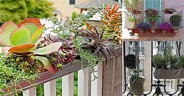 20+ idee di fioriere per ringhiere fai-da-te per giardinieri da balcone