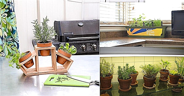 11 Küchenarbeitsplatte Kräutergarten Ideen für das Wohnen in einer Wohnung