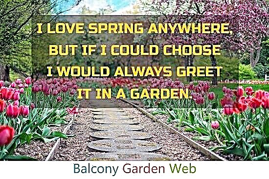 30 increíbles citas de primavera para jardineros