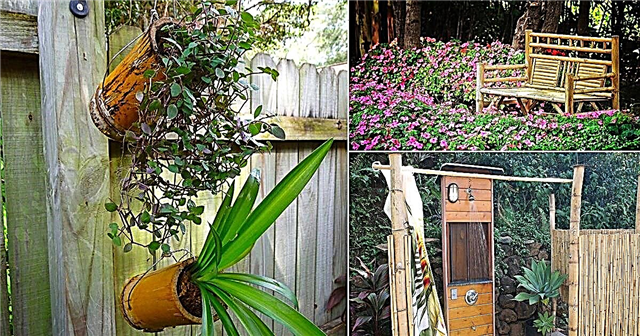 24 iespaidīgi DIY bambusa projekti un izmantošana dārzā