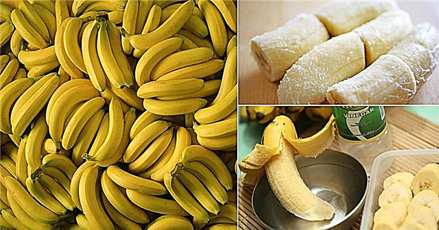 כיצד לשמור על בננות טריות וטעמים עם 9 פריצות אלה