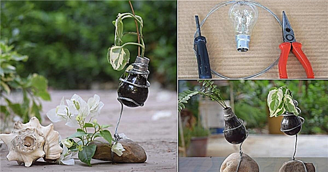 이 DIY 전구 화분에 오래된 전구를 재활용하십시오!