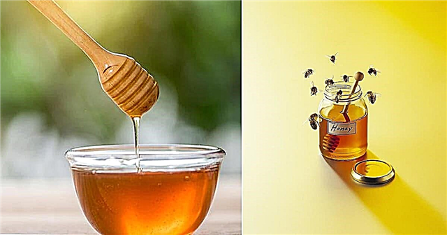 6 otroliga användningar av honung i trädgården