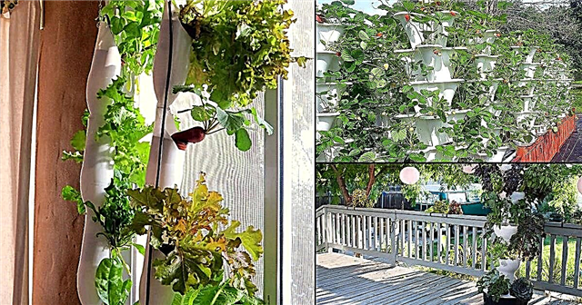 14 DIY Hydroponic Vertical Garden Ideas for å dyrke mat