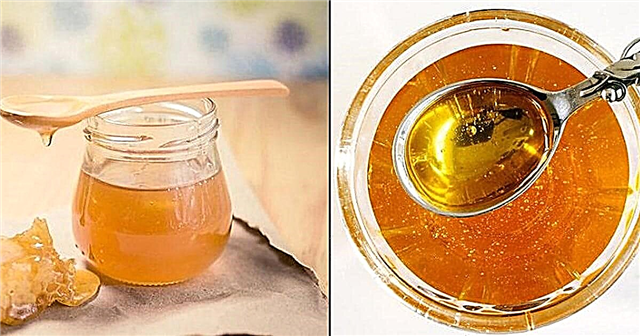 Medus lietošana kā sakņu hormons darbojas! Pierādīts pētījumos