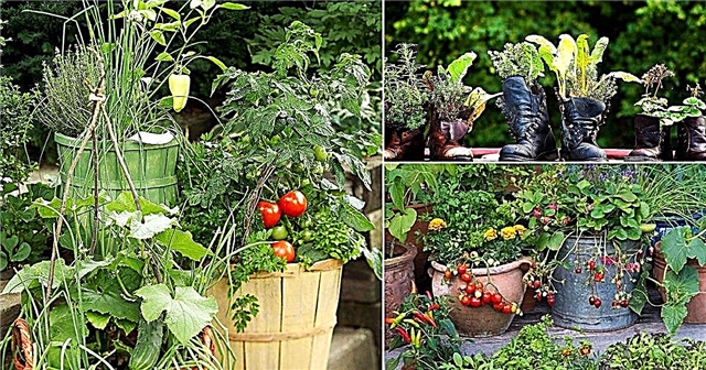13 padomi, kā izveidot dekoratīvu konteineru dārzeņu dārzu