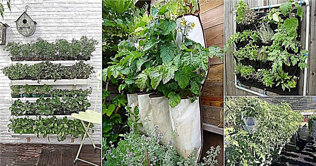 12 ideas de jardinería vertical de bricolaje para cultivar más alimentos