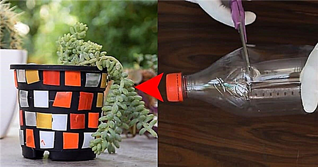 DIY Mosaik Pflanzer aus einer Plastikflasche