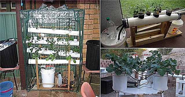 17 domácích hydroponických systémů | DIY Hydroponické zahrady