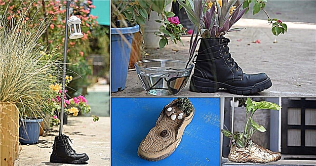 8 superbes chaussures anciennes dans le jardin