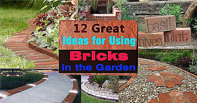 庭でレンガを使用|ガーデンデザインのアイデア
