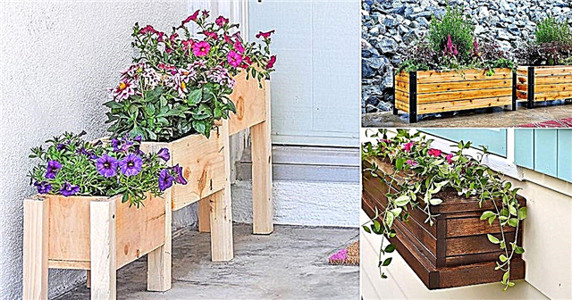 20 functionele DIY Garden Box-ideeën en -plannen