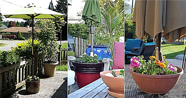 9 DIY Paraply Stand Planter Idéer til gartnere