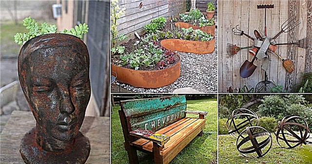 21 de proiecte de artă și decor de grădină din metal ruginit DIY