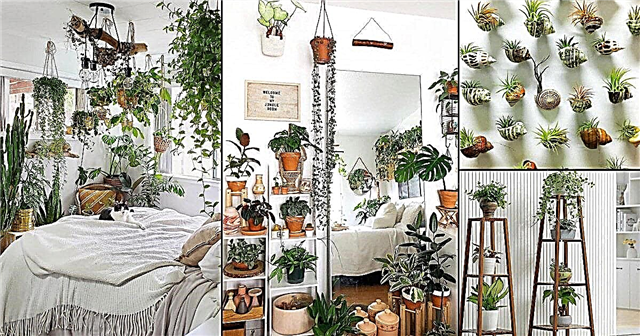 19 Belachelijke Indoor Jungle #Instagram-berichten voor kamerplantliefhebbers