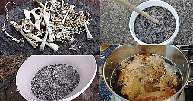 Cómo hacer fertilizante de harina de huesos en casa