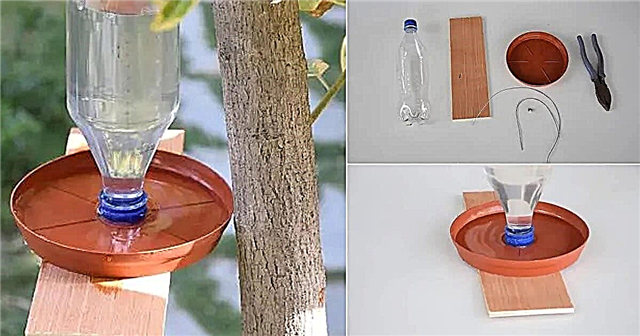 Jak si vyrobit zavěšený podavač ptačí vody DIY krmítko na láhev s vodou