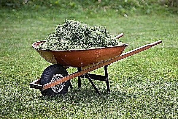 Cum se face îngrășământ de ceai tăiat iarbă lichidă