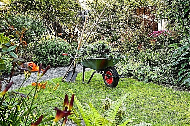 Förbereda din trädgård för våren Trädgårdsförberedelse för vårplantering