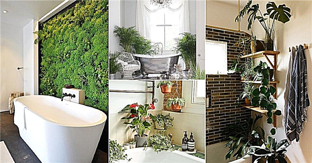 16 trendi kylpyhuonekasvien ideoita | Kylpyhuone Puutarha