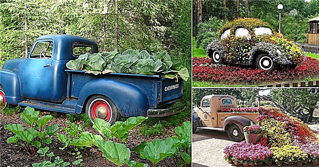 18信じられないほど古い車の庭の芸術のアイデア