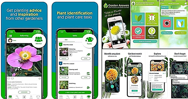 Beste plantidentificatie-apps 2020