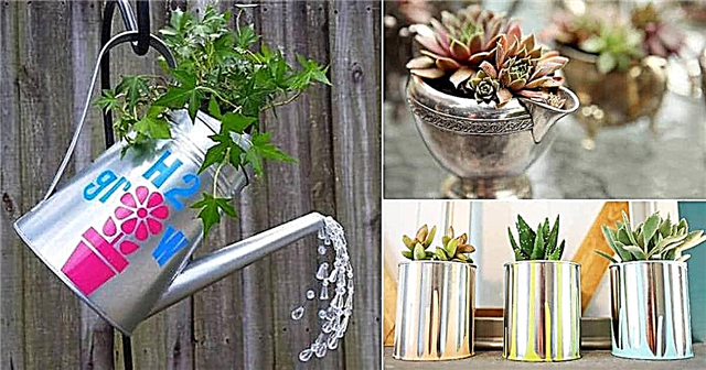 17 prekrasnih ideja za samostalnu sadnju srebrnih biljaka