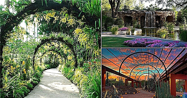 19 najlepszych ogrodów botanicznych na świecie