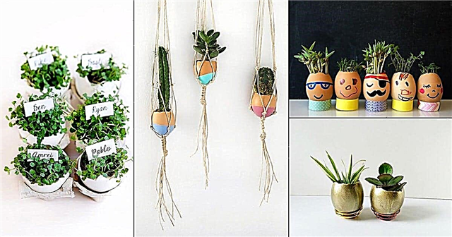 18 DIY Eggshell-ideeën voor tuinders | Easter Egg Planters