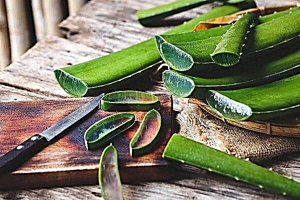 Kan du spise Aloe Vera-plante | Fordele ved at spise rå aloe vera