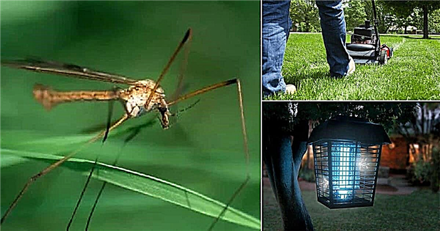 Како се отарасити муха кранова | Одбијач мува од крана