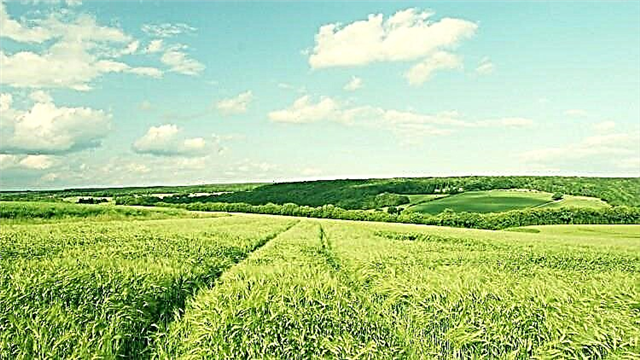 Comment démarrer une entreprise agricole »wiki utile Guide d'introduction