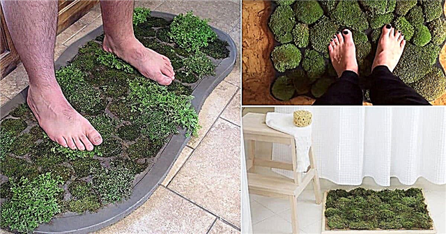 8 „pasidaryk pats“ samanų vonios kilimėlių idėjos Kaip pasigaminti samanų vonios kilimėlį