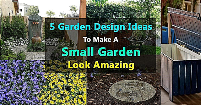 5 गार्डन डिजाइन विचार एक छोटे से बगीचे को अद्भुत बनाने के लिए