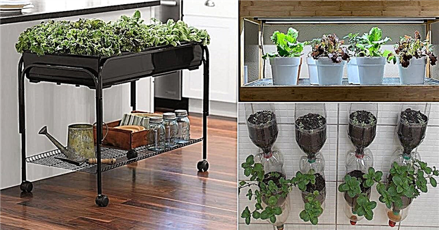 10 Ý tưởng Vườn rau Trong nhà