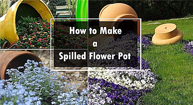 Faire un pot de fleur renversé: idée de conception de jardin