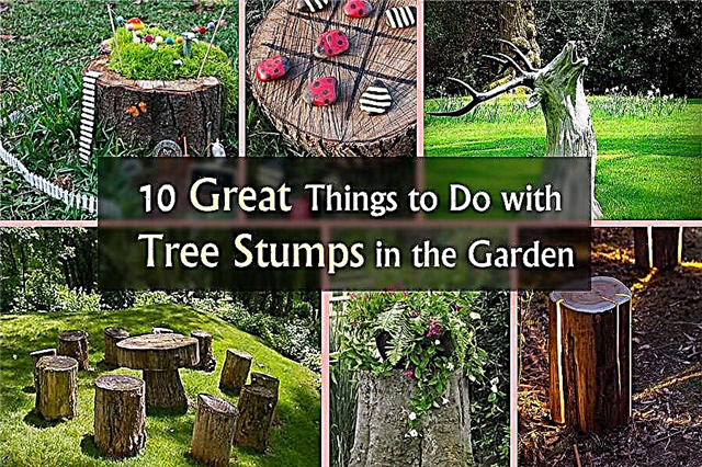 정원을위한 10 가지 놀라운 나무 그루터기 아이디어