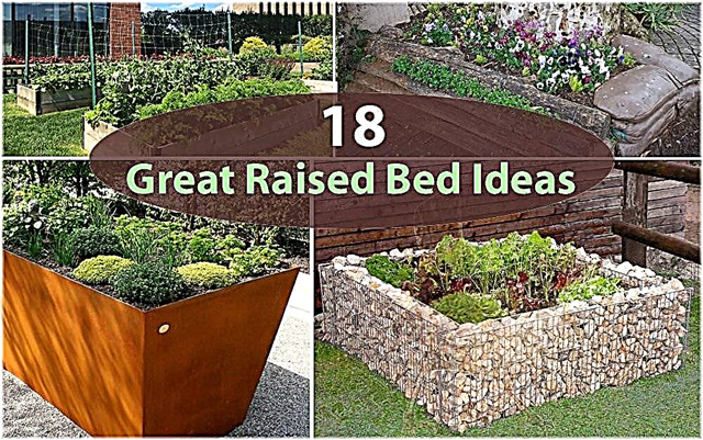 18 grandi idee per letti rialzati | Giardinaggio a letto rialzato