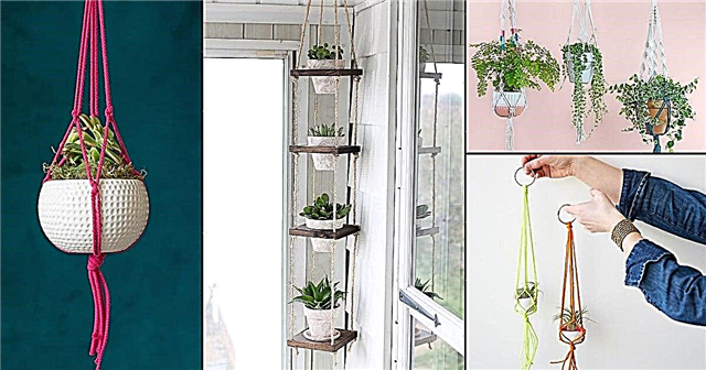 14 DIY reb reb planke bøjle ideer | Hæng indendørs planter med reb