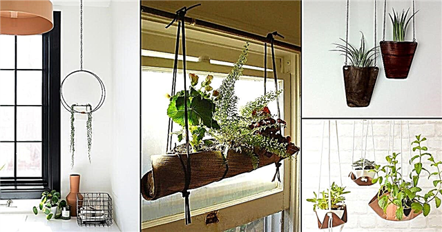 51 DIY hængende planter indendørs ideer
