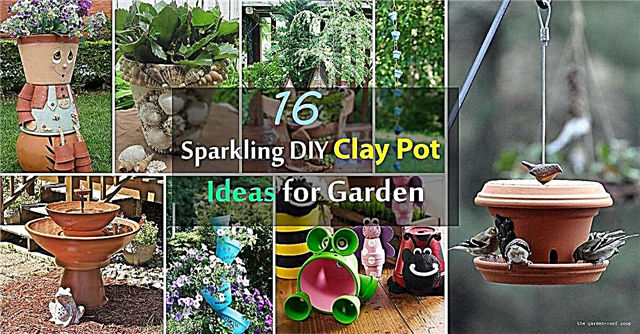 गार्डन के लिए 16 स्पार्कलिंग DIY क्ले पॉट विचार